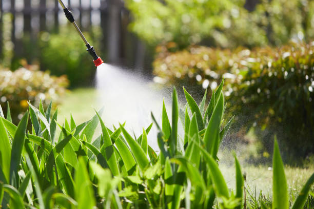 Tamper-Resistant Bait Stations for Rodents in Buckeystown