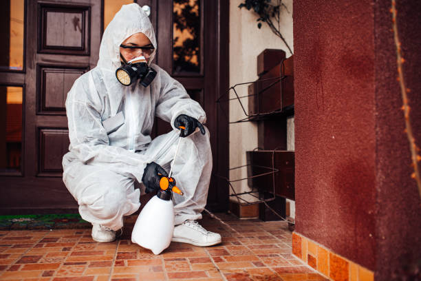 Attic and Crawl Space Rodent Treatment in Buckeystown