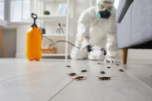 Commercial Rodent Management in Buckeystown